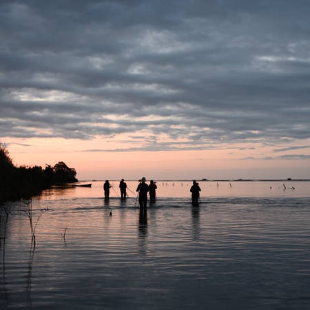 ​Sortida Fotogr&agrave;fica Delta de l'Ebre