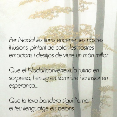 Bones Festes