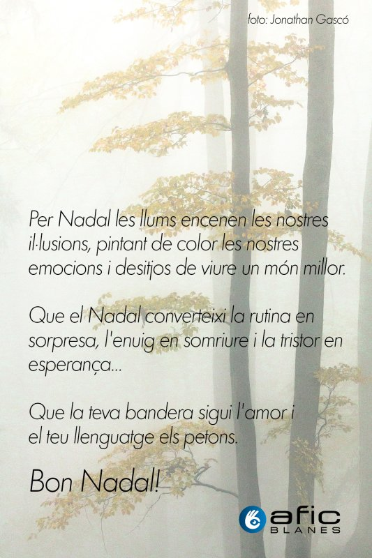 Bones Festes