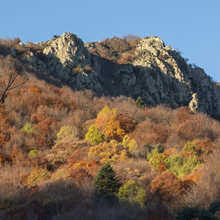 Sortida dels jubilats al Montseny