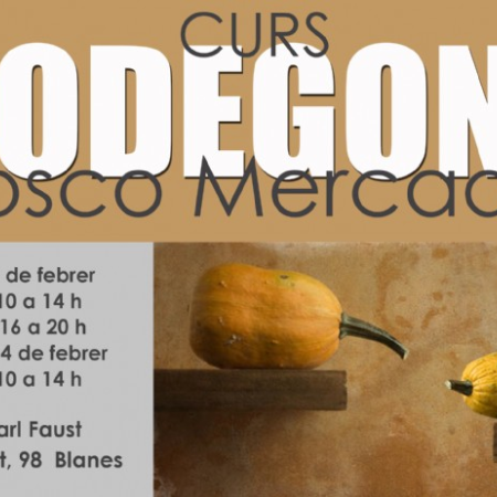 CURS DE BODEGONS - INSCRIPCIÓ OBERTA