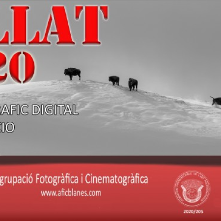 Concurs Fotogràfic Digital