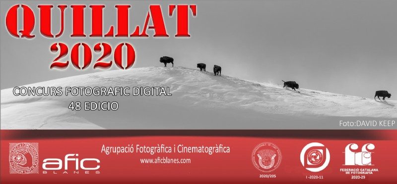 Concurs Fotogràfic Digital