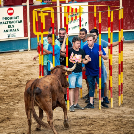 Resultats Torretes 2022