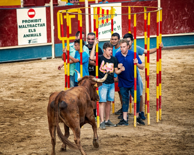 Resultats Torretes 2022