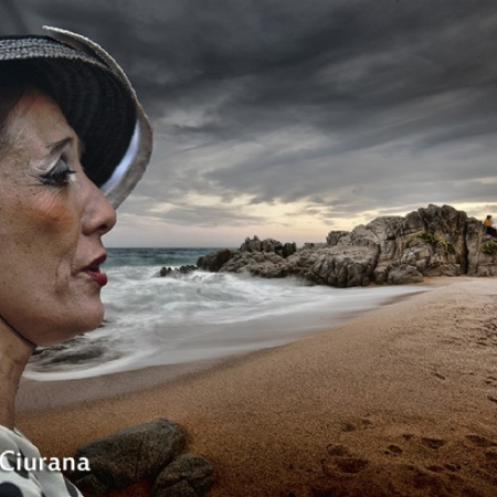 Lliga Catalana de Fotografia, resultats gener 2013