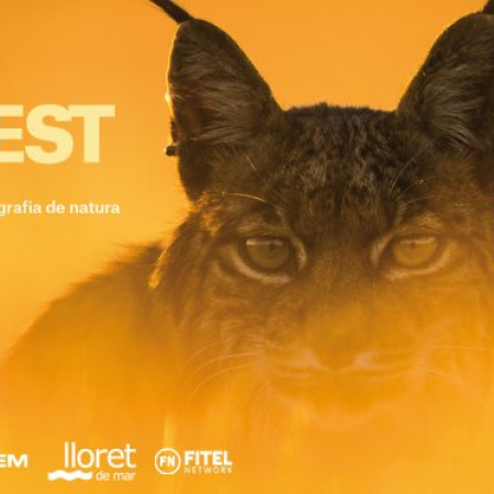Montphoto Fest 2022