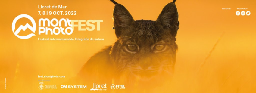 Montphoto Fest 2022