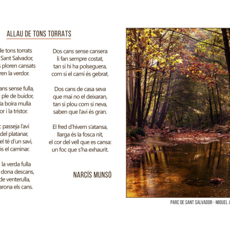 ​Exposici&oacute; "Instant&agrave;nies de tardor hivern"