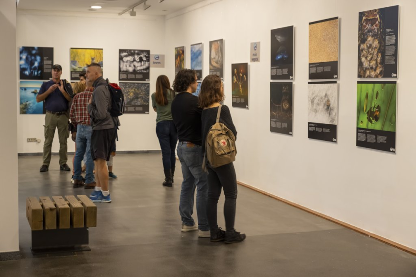 Exposici&oacute; Montphoto 2022