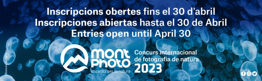 MontPhoto 2023.