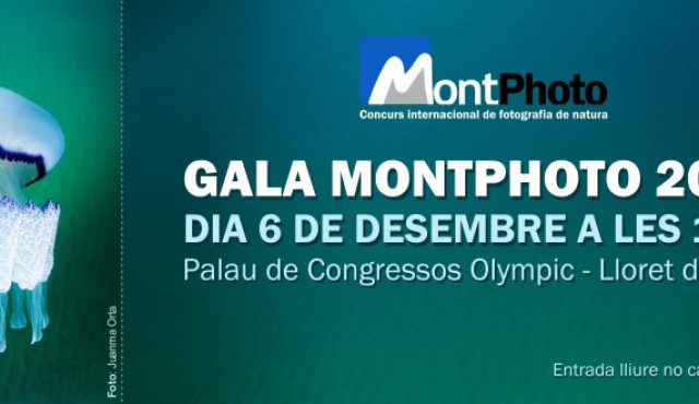 Gala Montphoto 2012