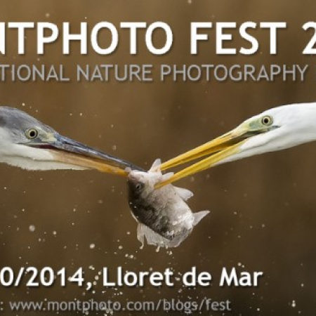 Montphoto-Concurs Internacional de Fotografia de Natura