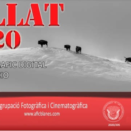 Concurs Fotogràfic Digital QUILLAT 2020 48 edició.