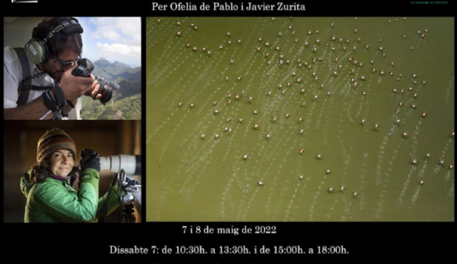 Taller Multimèdia Storytelling - Ofelia de Pablo i Javier Zurita
