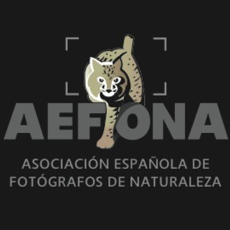Busquem voluntaris pel XX Congrés Nacional d’'AEFONA i el  IX Festival Internancional de Fotografia de Natura.