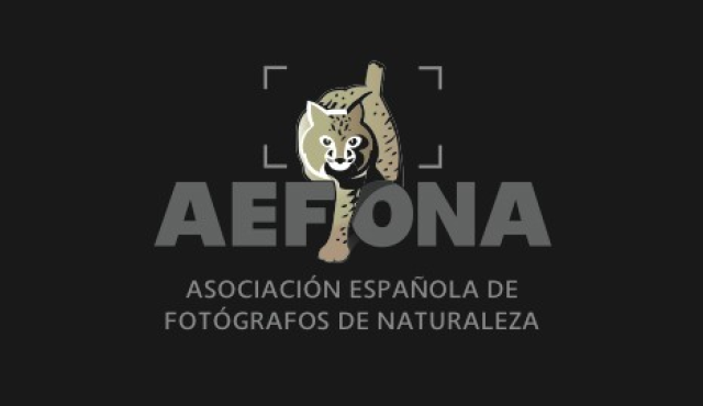 Busquem voluntaris pel XX Congrés Nacional d’'AEFONA i el  IX Festival Internancional de Fotografia de Natura.
