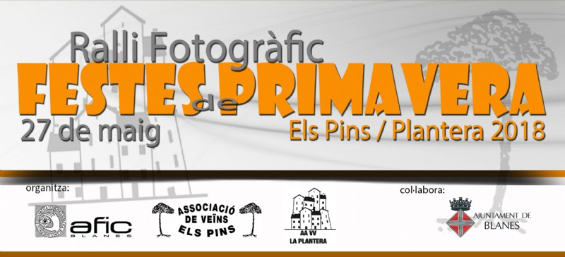 Rally fotogràfic Festes de Primavera, Els Pins - Plantera